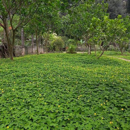 Yen Binh Homestay Ninh Bình Kültér fotó