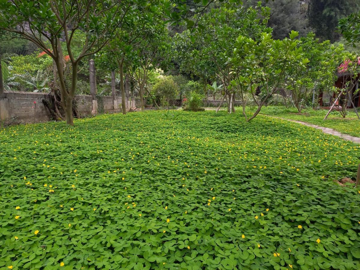 Yen Binh Homestay Ninh Bình Kültér fotó