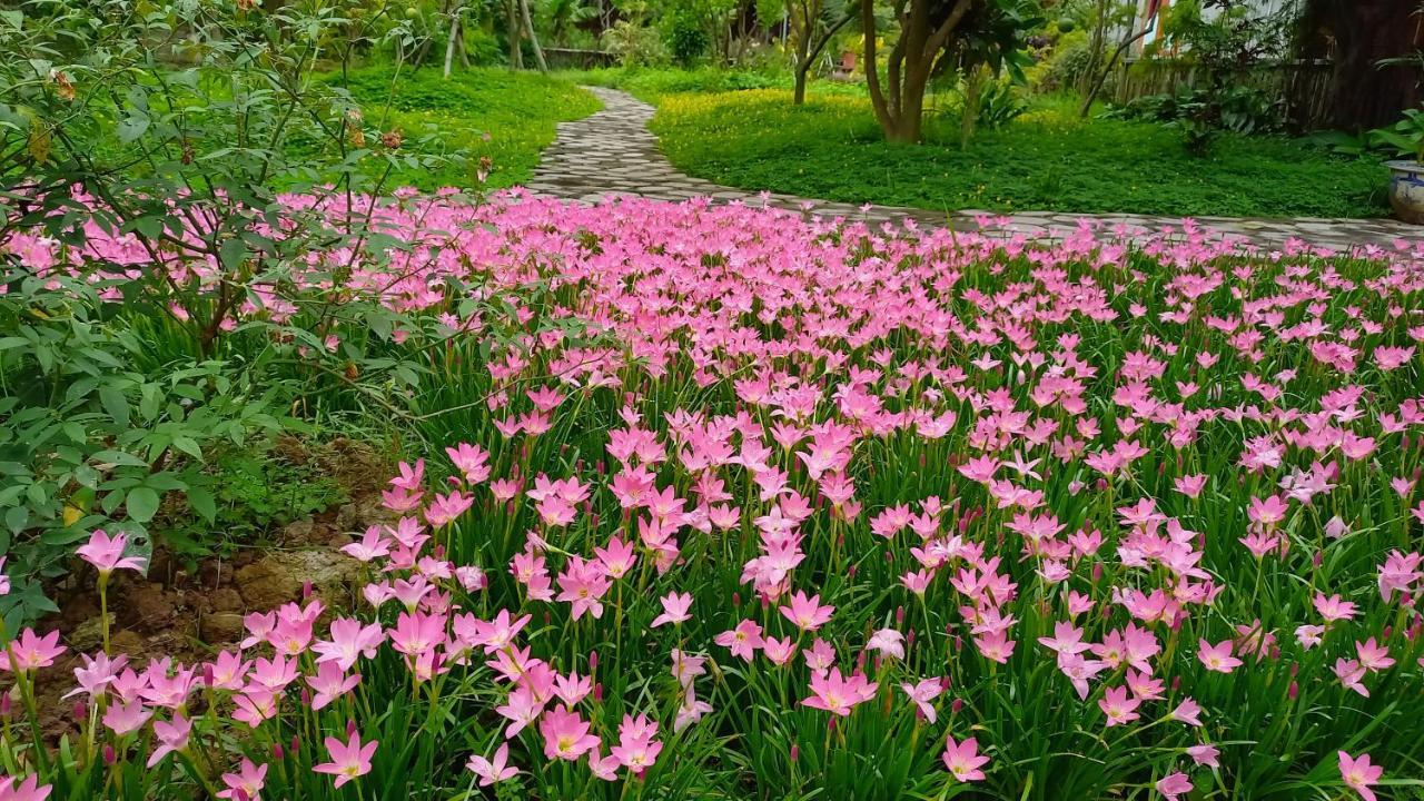 Yen Binh Homestay Ninh Bình Kültér fotó