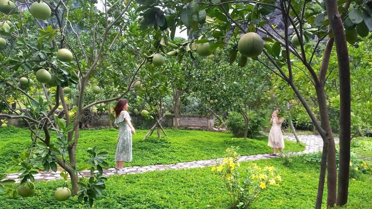 Yen Binh Homestay Ninh Bình Kültér fotó